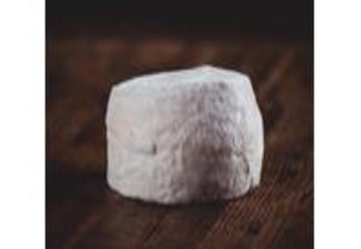 Crottin de chèvre frais de la Chèvrerie Serry