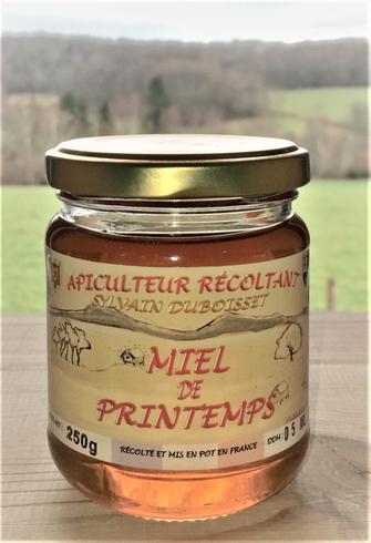 Miel de printemps 250g
