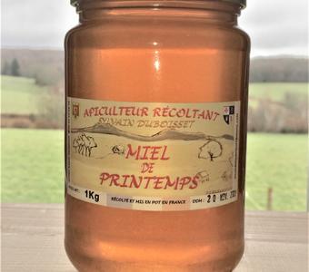 Miel de printemps 1Kg