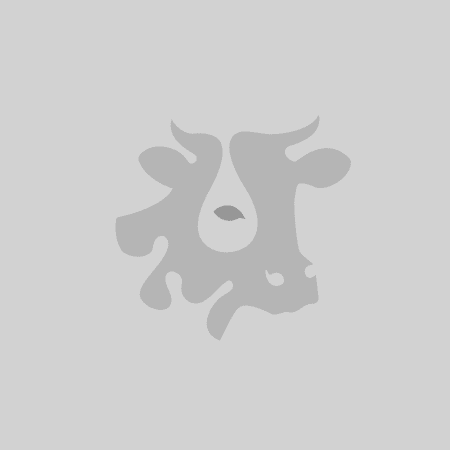 Jambon d'Auvergne IGP 4 tranches